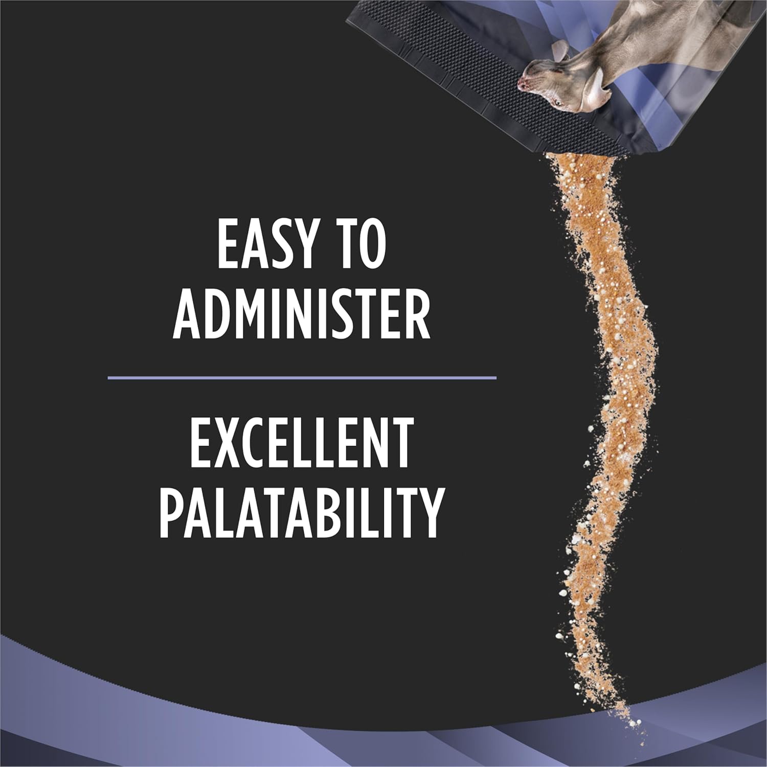 Purina FortiFlora Pro Plan Veterinary Probiotic DOG Supplement 30 Count - Image 7