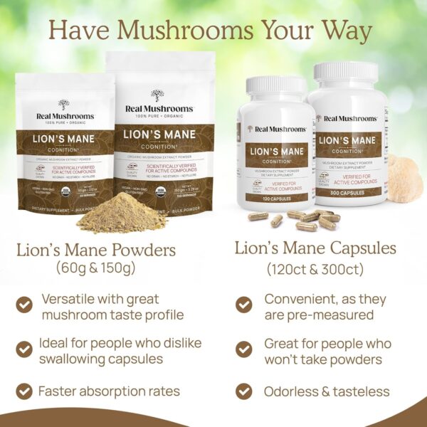 Lion's Mane, Mushroom Extract Powder, 120 Capsules - Image 7