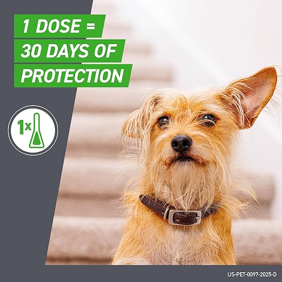 Frontline Plus Flea and Tick Treatment for Small Dogs 5-22 LBs 6 Doses - Image 4