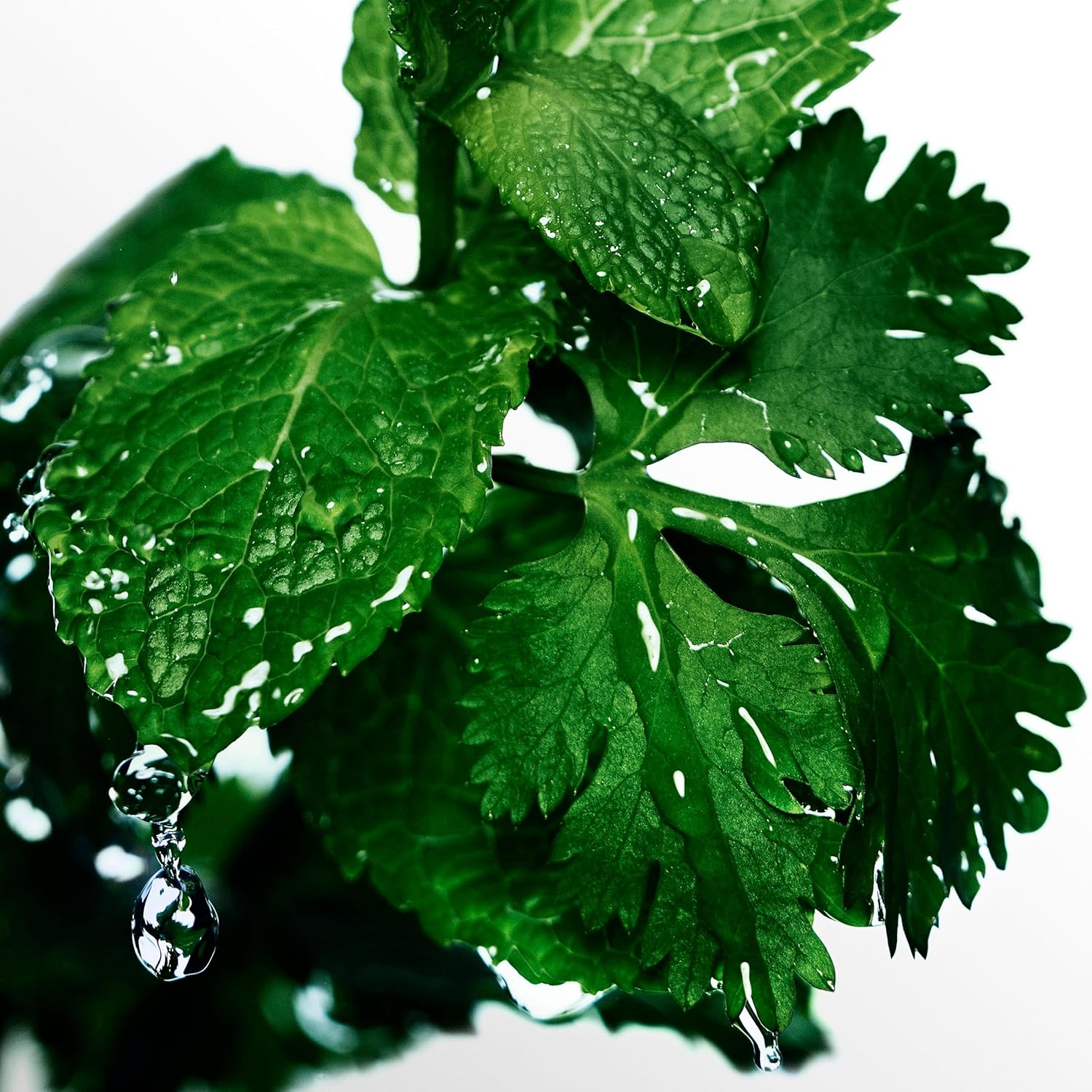 Davidoff Cool Water 4.2oz Men's Eau de Toilette - Image 3