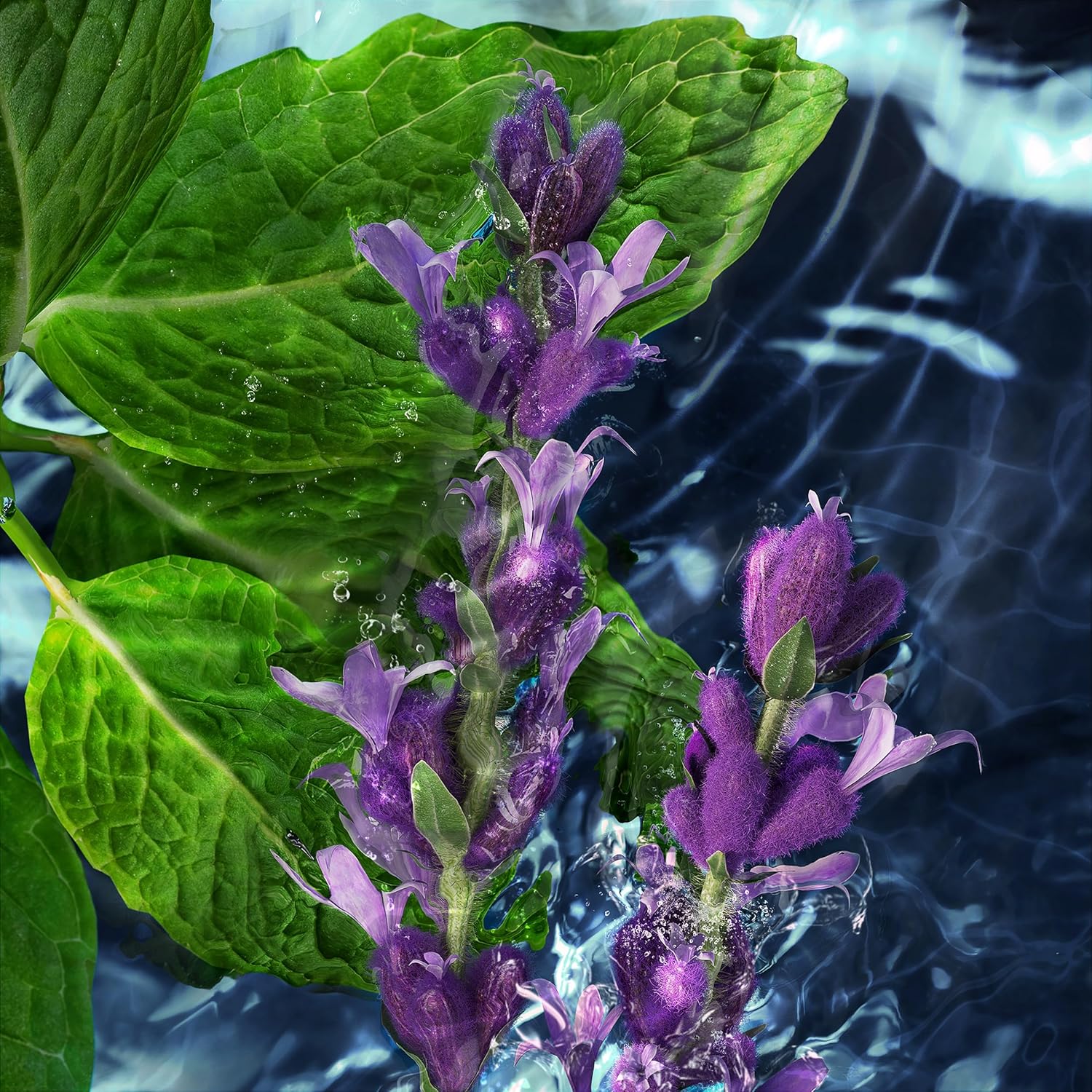 Davidoff Cool Water 4.2oz Men's Eau de Toilette - Image 4